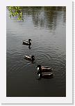 001w (176a) * 2592 x 3888 * (3.36MB)